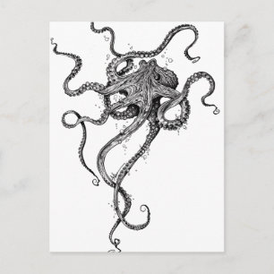 Oktopus Postkarte