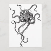 Oktopus Postkarte (Vorderseite)
