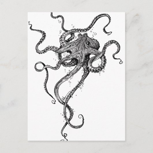 Oktopus Postkarte (Vorderseite)