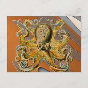 Oktopus Postkarte
