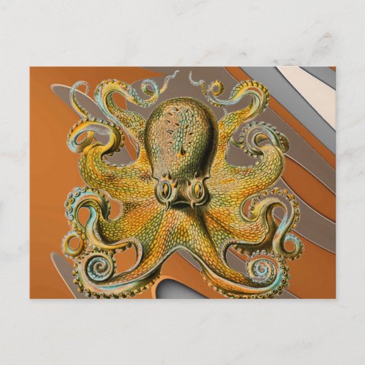 Oktopus Postkarte (Vorderseite)