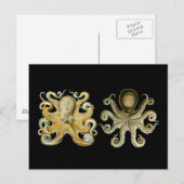 Oktopus Postkarte (Vorne/Hinten)