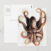 Oktopus Postkarte (Vorne/Hinten)