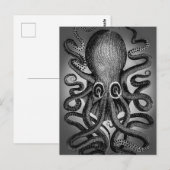 Oktopus-Postkarte Postkarte (Vorne/Hinten)