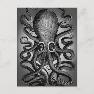 Oktopus-Postkarte Postkarte