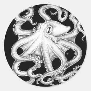 Oktopus Schwarz-Weiß-Tinte Runder Aufkleber