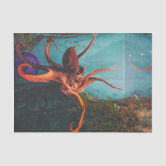 Oktopus Seidenpapier