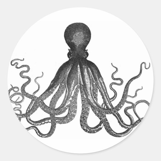Oktopus Stickers (Vorderseite)