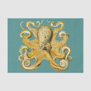 Oktopuspapier Seidenpapier