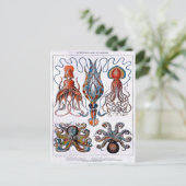 Oktopuspostkarte Postkarte (Stehend Vorderseite)