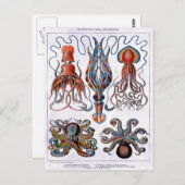 Oktopuspostkarte Postkarte (Vorne/Hinten)