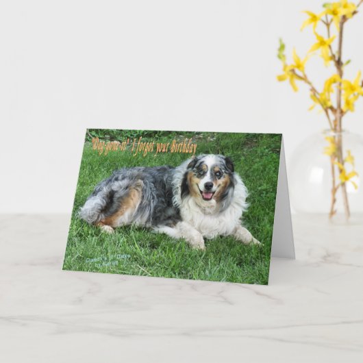 Ol' Duke Karte (Gelbe Blume)