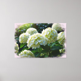 *~* Öl Hydrangea TV2 Kunstgearbeitete Canvas Print Leinwanddruck