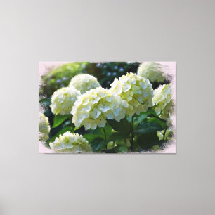 *~* Öl Hydrangea TV2 Kunstgearbeitete Canvas Print Leinwanddruck