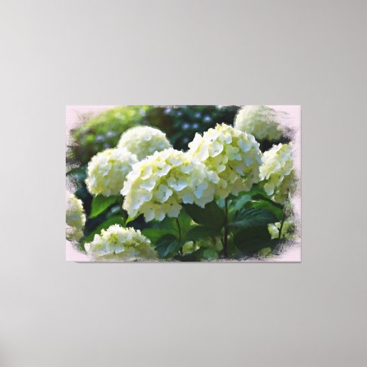 *~* Öl Hydrangea TV2 Kunstgearbeitete Canvas Print Leinwanddruck (Vorderseite)