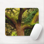 Ölbaum Mousepad (Mit Mouse)