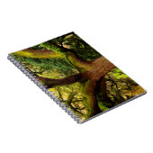 Ölbaum Notizblock (Rechte Seite)