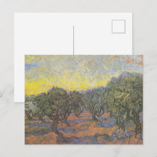 Ölbäume von Van Gogh Gelber Himmel Kunst Postkarte