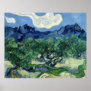 Ölbäume von Van Gogh mit den Alpilles Poster