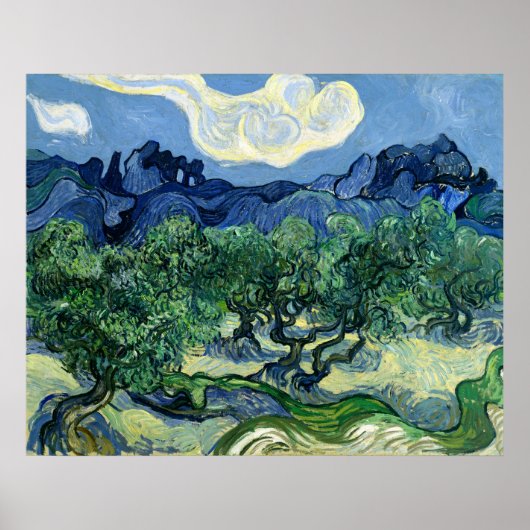 Ölbäume von Vincent van Gogh Poster (Vorne)