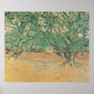 Ölbaumhain von Van Gogh - Salbeigrüne Naturkunst Poster
