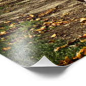 Old Amish Wagon Fotodruck (Ecke)