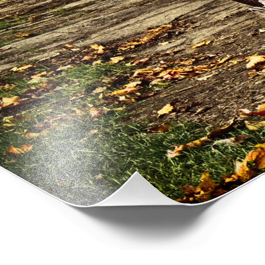 Old Amish Wagon Fotodruck (Ecke)