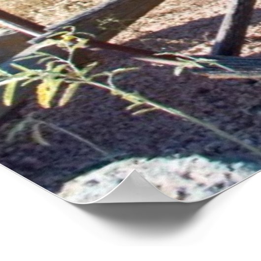 Old Arizona Wagon Poster (Ecke)