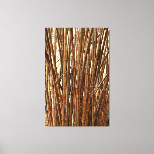 Old Bamboo Leinwanddruck (Vorderseite)