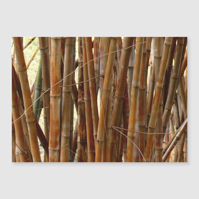 Old Bamboo Magnetkarte (Vorderseite)