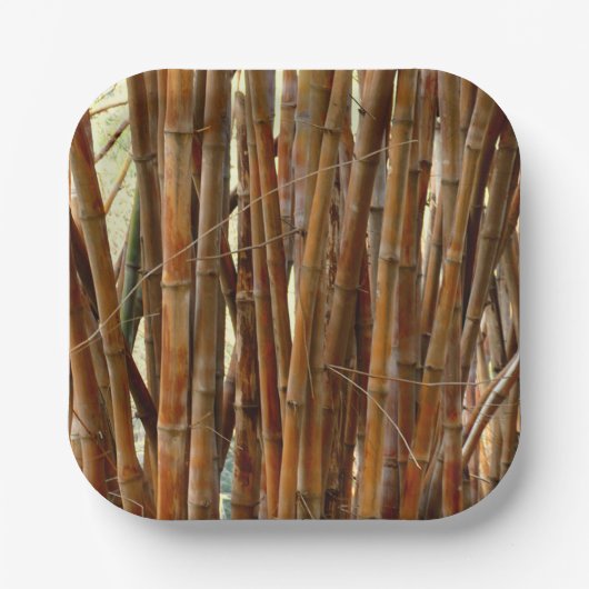 Old Bamboo Pappteller (Vorderseite)