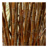 Old Bamboo Poster (Vorderseite)