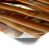 Old Bamboo Poster (Ecke)