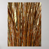Old Bamboo Poster (Vorne)