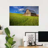 Old Barn in Field of Spring Wheat Poster (Heimbüro)