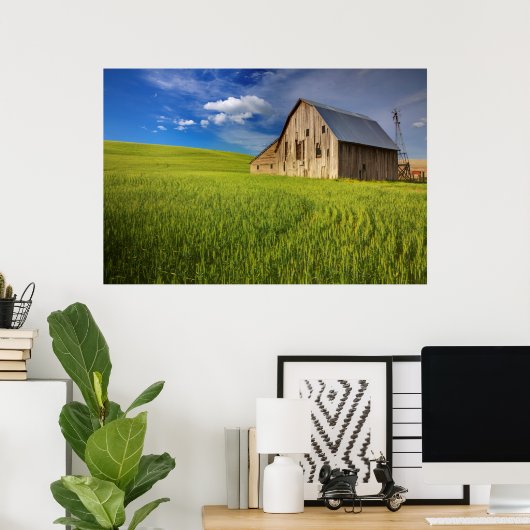 Old Barn in Field of Spring Wheat Poster (Heimbüro)
