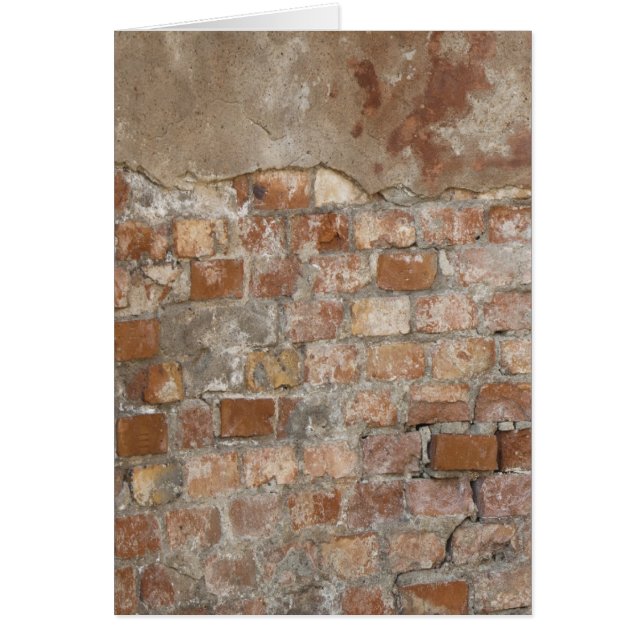 Old Brick Wall (Vorne)