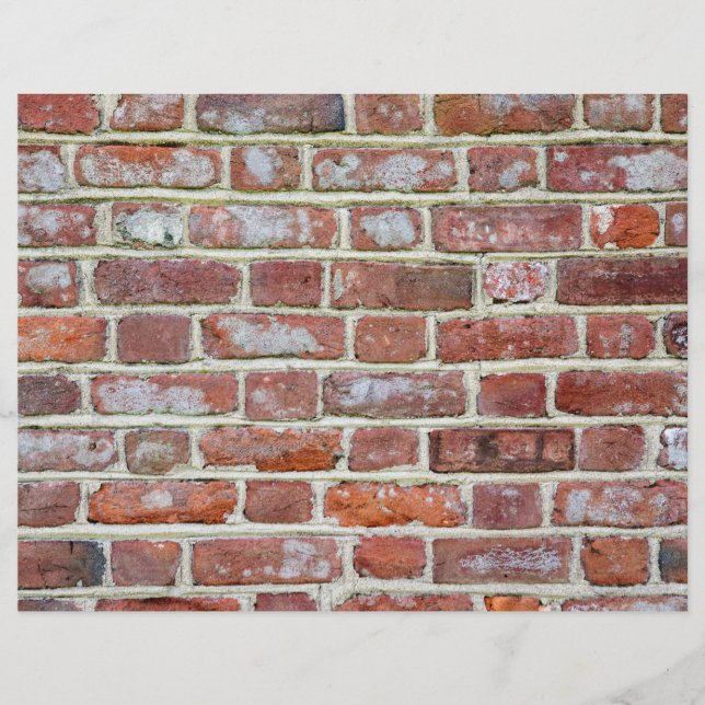 Old Brick Wall (Vorderseite)