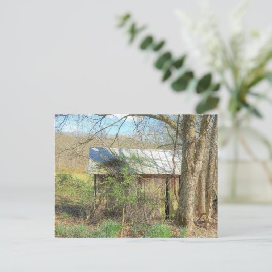 Old Chicken Coop Postkarte (Stehend Vorderseite)