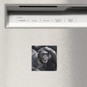 Old Chimpanzy Magnet (In Situ (Geschirrspüler))