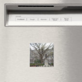 Old City Hall, Richmond, VA im Frühjahr Magnet (In Situ (Geschirrspüler))