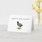 Old Coot Birthday Card Karte (Gelbe Blume)