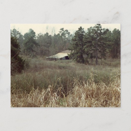 Old Coushatta Barn Postkarte (Vorderseite)