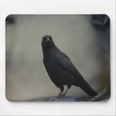 Old Crow Art Mousepad (Vorne)