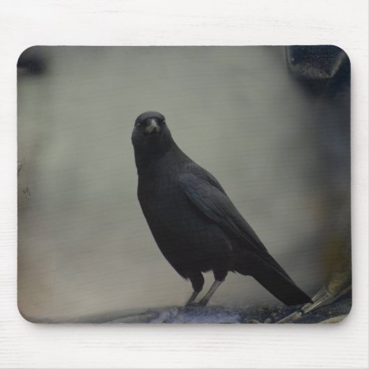 Old Crow Art Mousepad (Vorne)