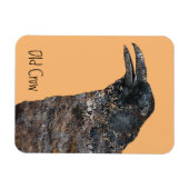 Old Crow Talking Canyons, New Mexico Magnet (Horizontal)