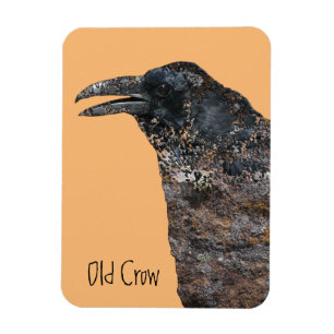Old Crow Talking Canyons, New Mexico Magnet