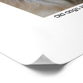 Old dog Zitat Poster (Ecke)