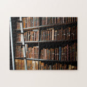 Old Dublin Library Ireland Puzzle (Horizontal)