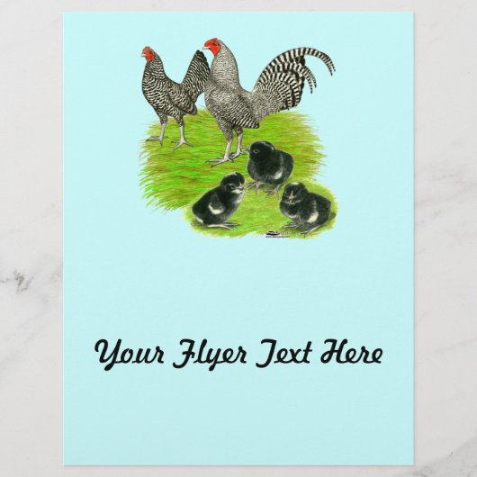 Old English Barred Bantam Family (Vorderseite)